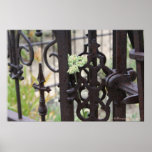 The Past embraces Life Posters