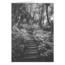 THE PATH . . . cards