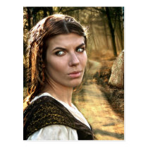 The Path Chosen Postcard postcards