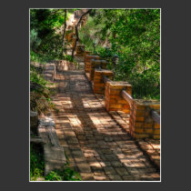 The Path Post Card postcards