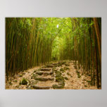 The Path Poster