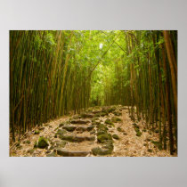 The Path Poster
