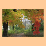The Path posters