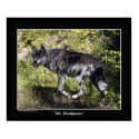"The Pathfinder" Grey Wolf Poster posters by WILDERNESS_SHOP "The Pathfinder" Grey Wolf Poster posters