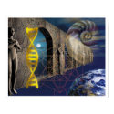 The Pathway of Evolution posters by New_World_Creations The Pathway of Evolution posters
