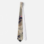 The Patriot Ties