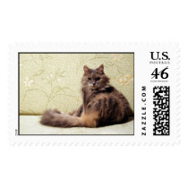 The Pause postage