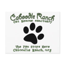 'The Paw Stops Here' Post Card