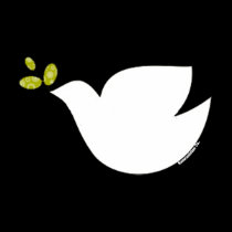 The Peace Dove t-shirts