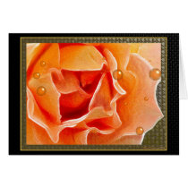 The Peach Rose Card by Floral_Dreamsnet The Peach Rose Card