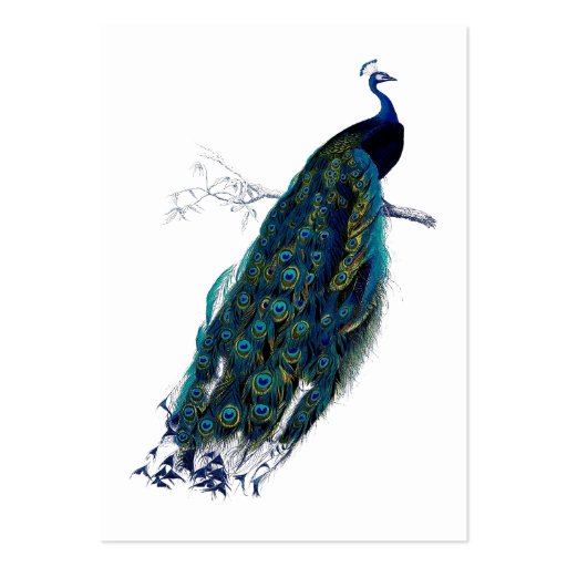 The Peacock Collection Gift Tag Business Cards