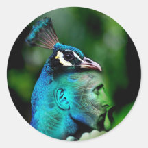 The Peacock King Sticker