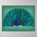 The Peacock Print