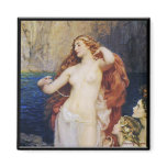 The Pearls of Aphrodite Magnets