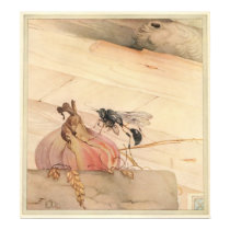 THE PELOPAEUS SPIRIFEX - Insect Book Illustration posters