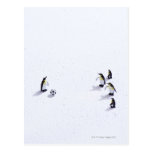 The penguins playing soccer postcards