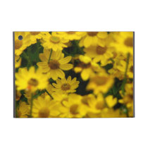 The Perfect Daisy powis icase