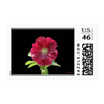 The Perfect Hollyhawk postage by StarLily The Perfect Hollyhawk postage