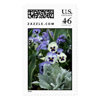 The Perfect Pansy stamp
