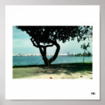 The perfect Tree Poster