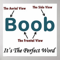 The Perfect Word Full Posters
