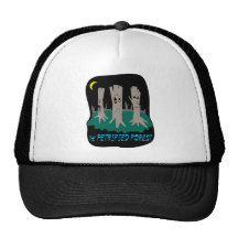 The Petrified Forest Mesh Hat