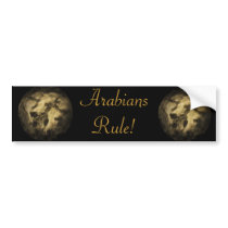 The Pharoah's Horses Bumper Stickers