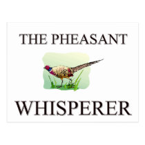 The Pheasant Whisperer postcards