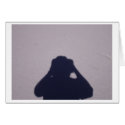 The photographer cards
