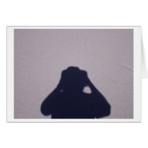 The photographer cards