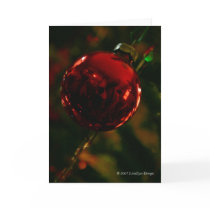 The Photographer's Ornament cards