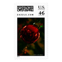 The Photographer's Ornament (Large) postage