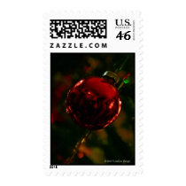 The Photographer's Ornament (Medium) postage