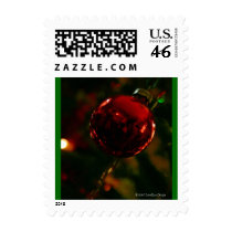 The Photographer's Ornament (Small) postage