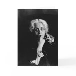 The Photographer's Wife Vintage Photo 1853 Cards
