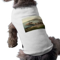 The Pier, with Drake's Island, Plymouth, England pet clothing