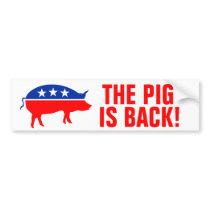 The Pig is Back! Bumper Stickers
