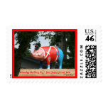 The Pig War! Postage