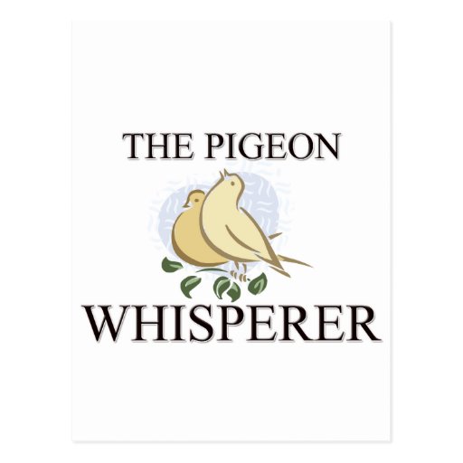 The Pigeon Whisperer Post Card