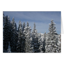 The Pines of Aspen cards