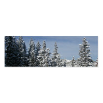 The Pines of Aspen profile cards