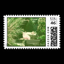 The pink cat stamps
