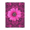 THE PINK DAISY postcards
