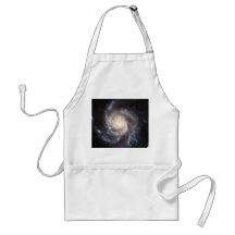 The Pinwheel Galaxy NGC 5457 Messier 101 Aprons