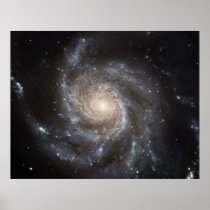 The Pinwheel Galaxy. posters