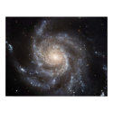 The Pinwheel Galaxy. posters