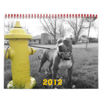 THE PIT MIX 2012 CALENDAR
