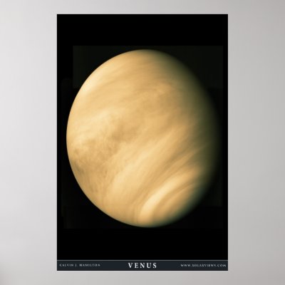 The Planet Venus Poster by solarviews