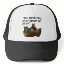 The Planners Mesh Hats