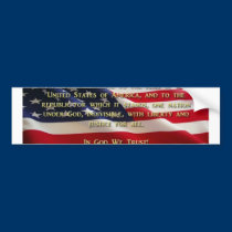 The Pledge Of ALLEGIENCE bumper stickers